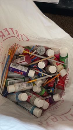 Mixed Lot Acrylic Paint Bottles and Brushes