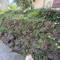 Large Lava Rocks - $20 each