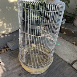 Bird Cage 