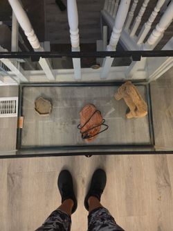 Glass Aquarium Tank with Black Frame