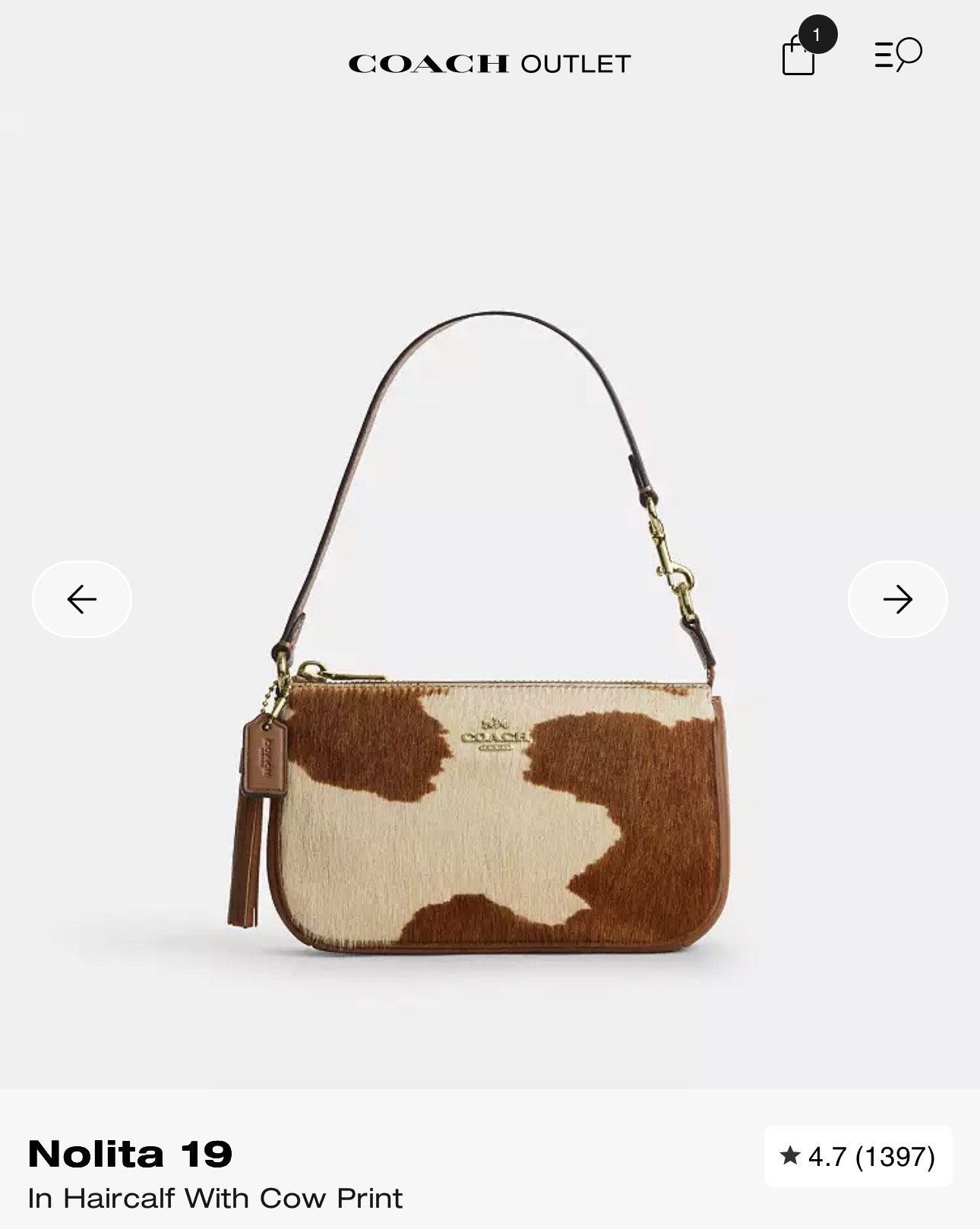 Coach Bag