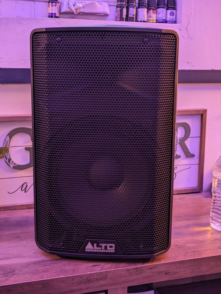 Alto Professional TX310 Speaker