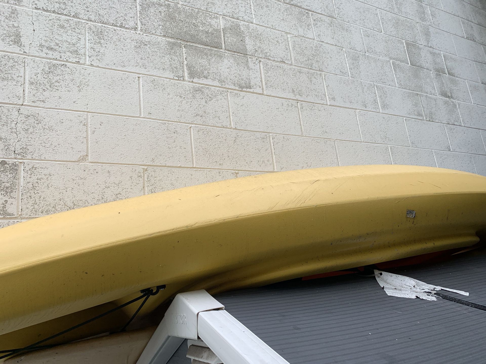 Dolphin kayak. Never used. Just bought and stored.