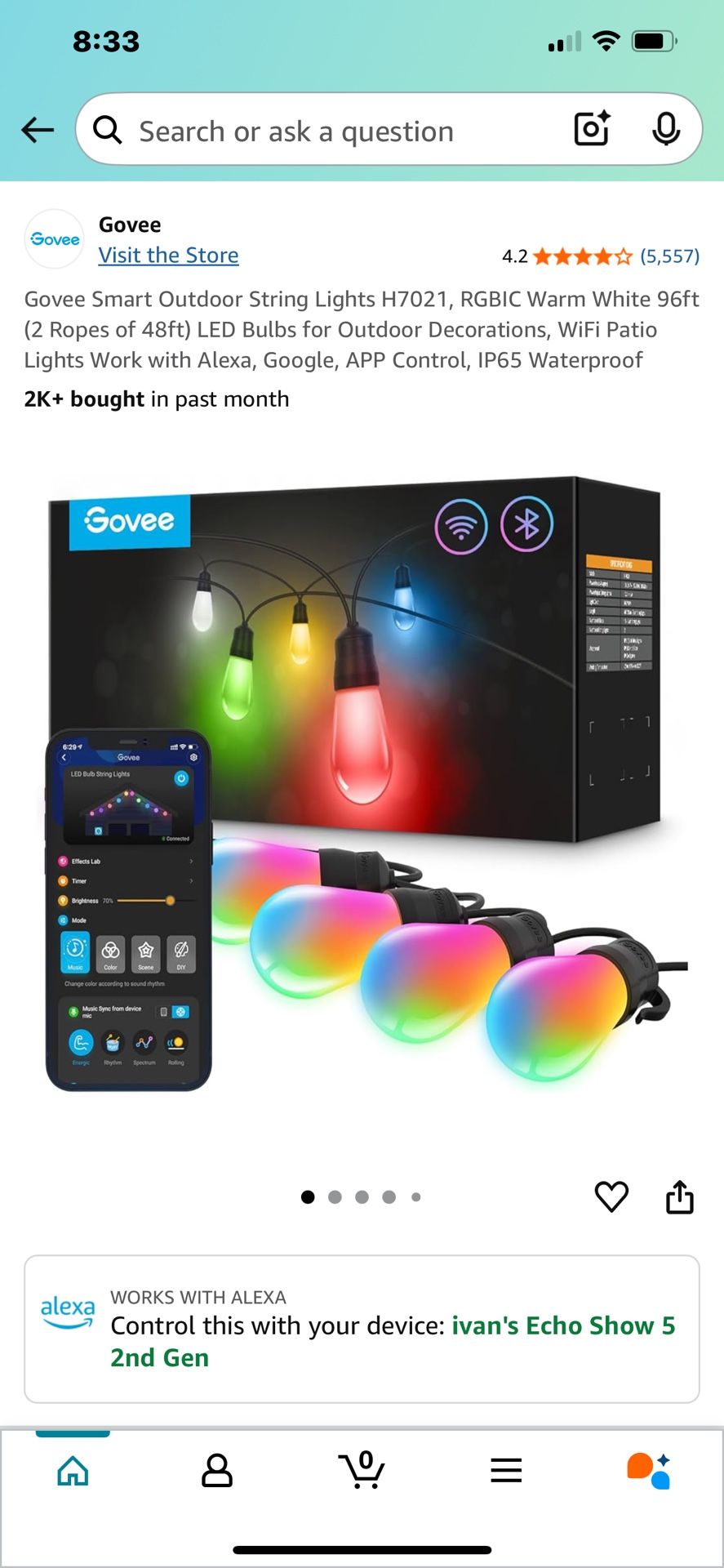 Govee Smart Outdoor String Lights H7021, RGBIC Warm White 96ft (2 Ropes of 48ft) LED Bulbs for Outdoor Decorations, WiFi Patio Lights Work with Alexa,
