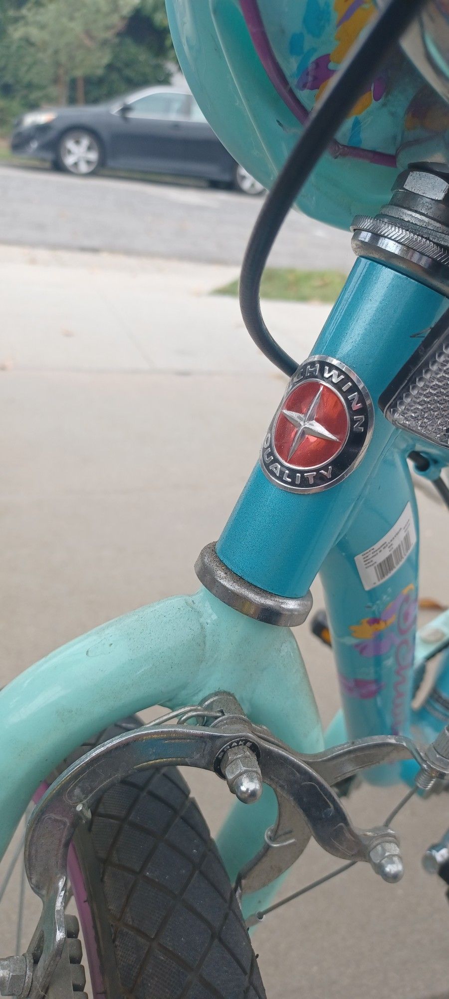 Girls Schwinn Bike. Age 7-10