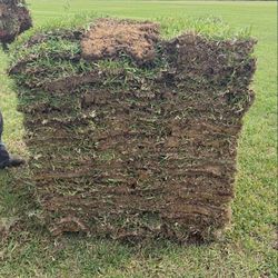 FLORATAM SOD 