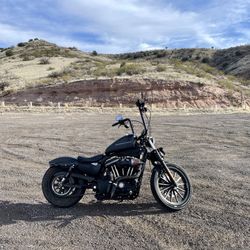 2011 Harley Davidson XL883N