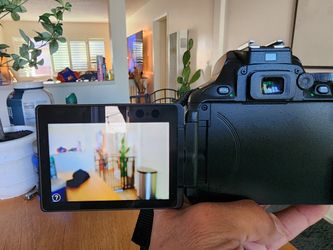 Nikon D5600 / Nikon 18-55mm f/3.5-5.6G AF-S DX VR Nikkor Zoom Lens