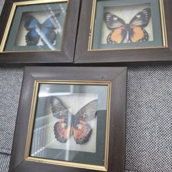 3 Butterfly Plac Set