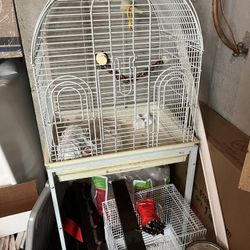 Cage Birds 