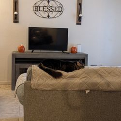 43-in Vizio Smart TV