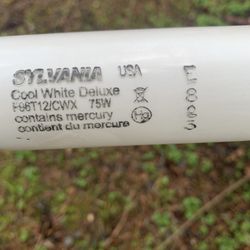 8ft  Fluorescent Bulbs