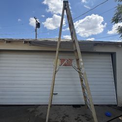 12 Foot Ladder 