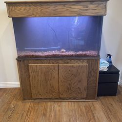 90g Acrylic Fish Tank