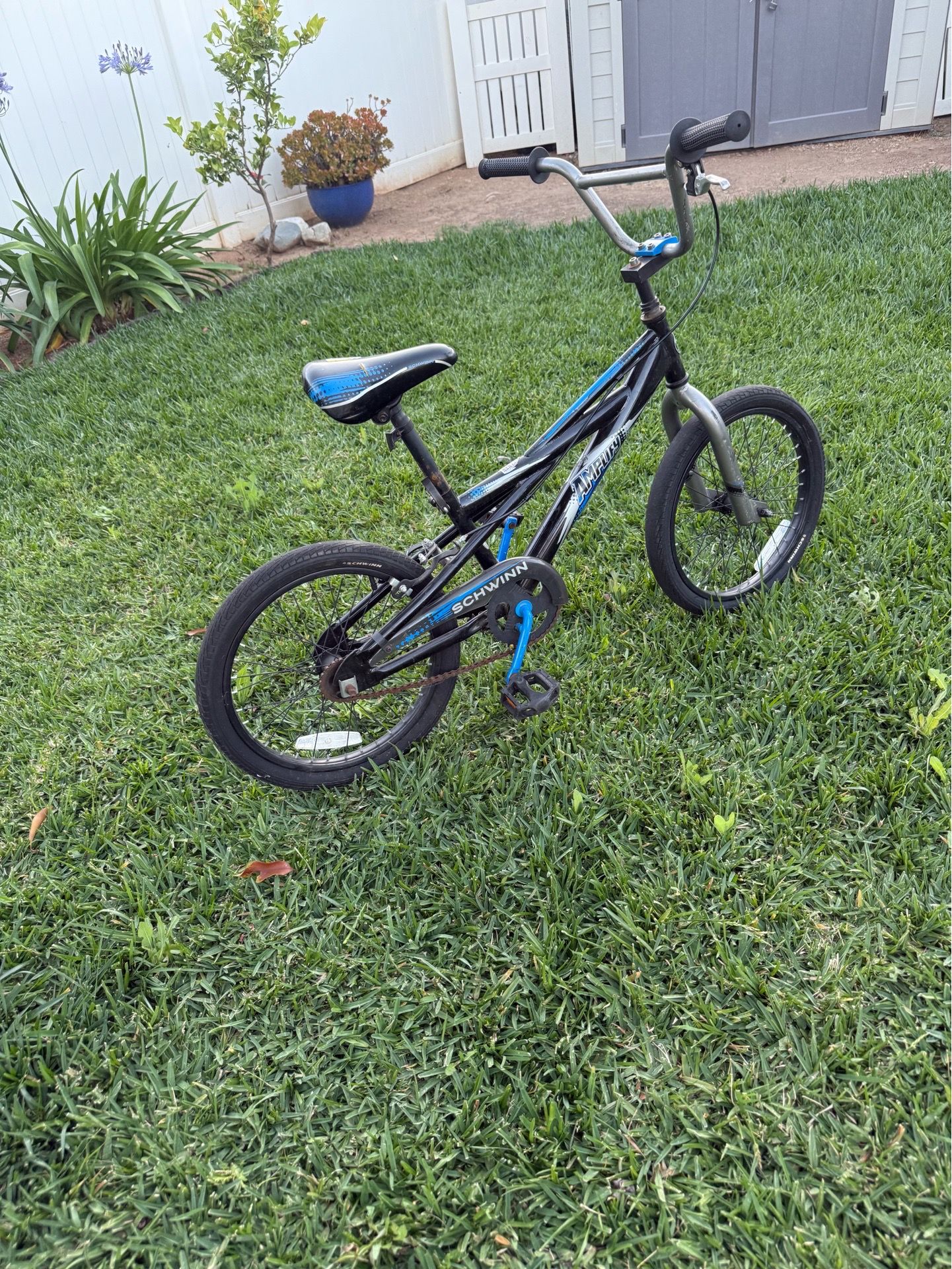 Schwinn Amplify Kids Bike