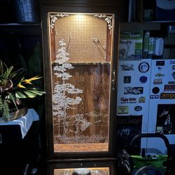 Gun Display Case /Cabinet