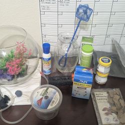 Betta Fish Bowl And Starting Kit