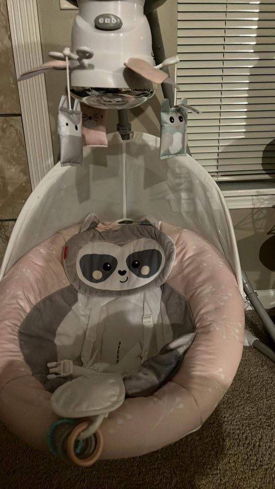 Baby Swing