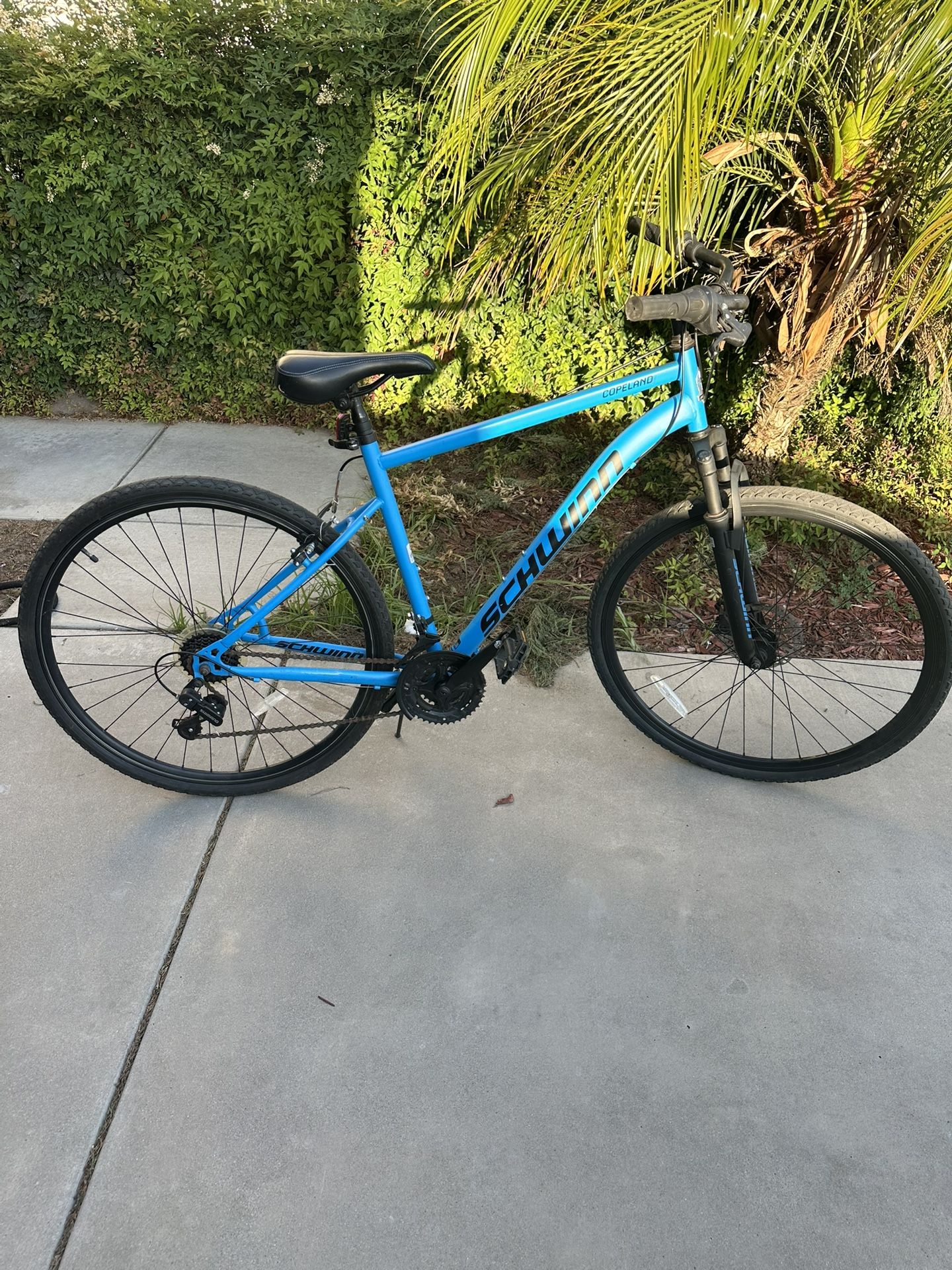 Schwinn Bike For Adult