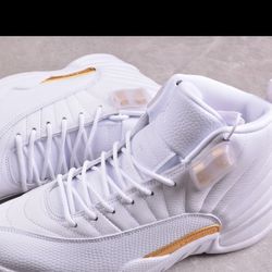  Jordan 12