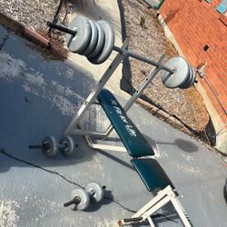 Weights and Bench 