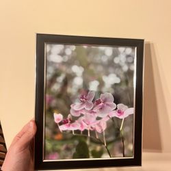 8x10 Framed Orchid Photo Taken in Tokyo Japan