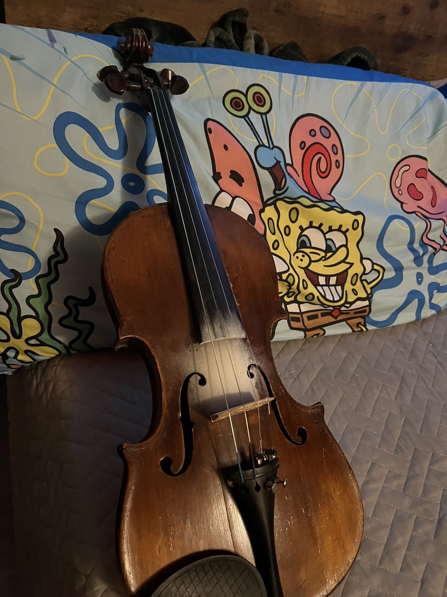 Violin