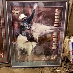 PBR Collectible Pictures In Glass 