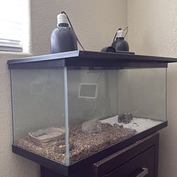 Iguana tank