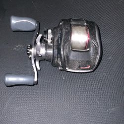Diawa Baitcasting Reel