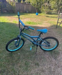 blue bike