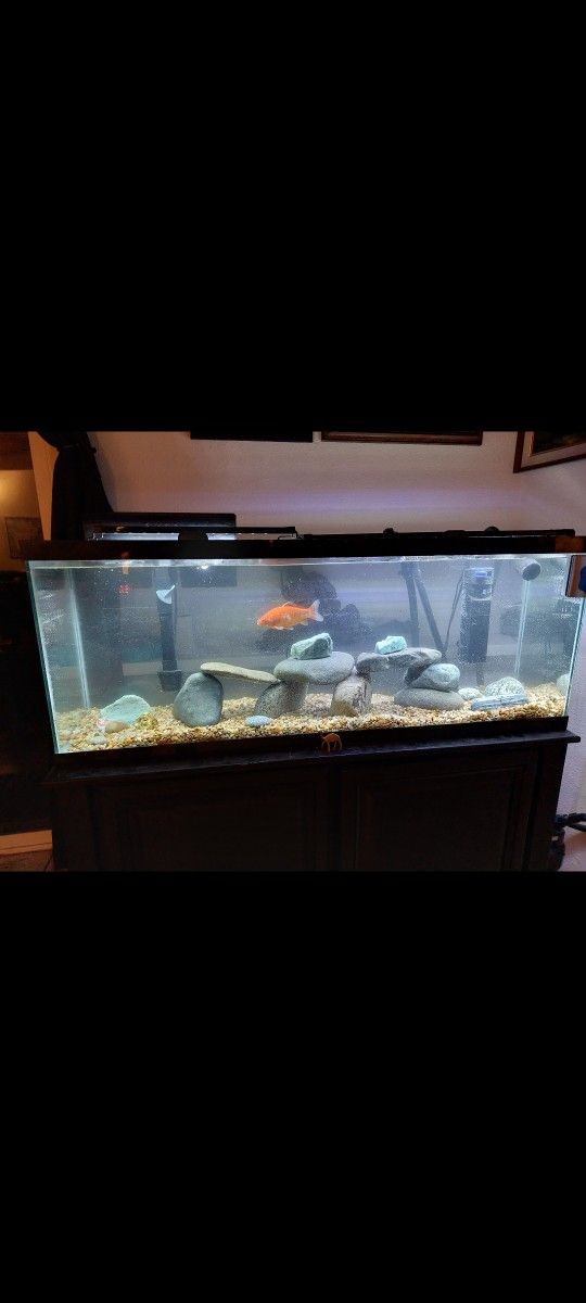 55 Gallon Tank And Stand And Pumps