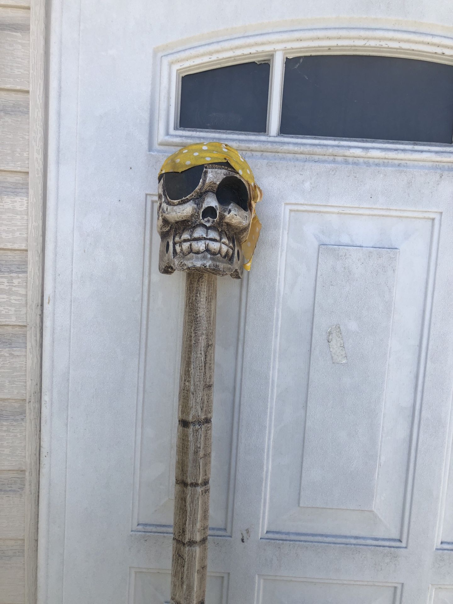 Walking Stick Skull 