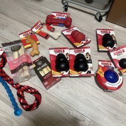 Dog Items 