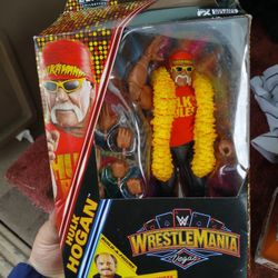 Wrestling Figure