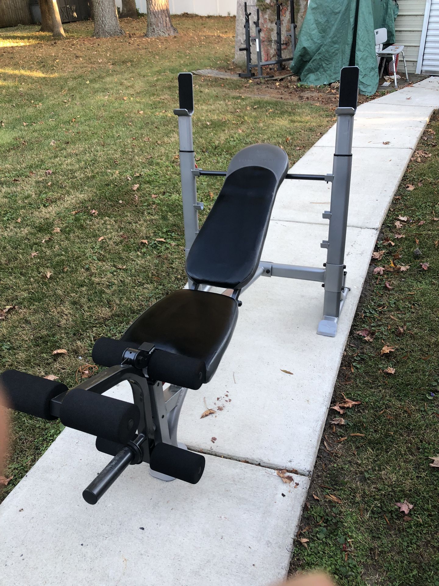 Olympic Heavy Duty Bench 2 in Cushion 