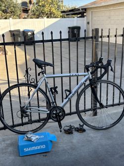 Windsor Bike