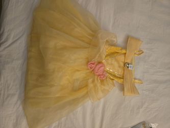 Disney princess Belle's dress