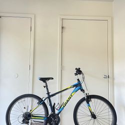 Giant 2 Revel Mountain Bike 26”