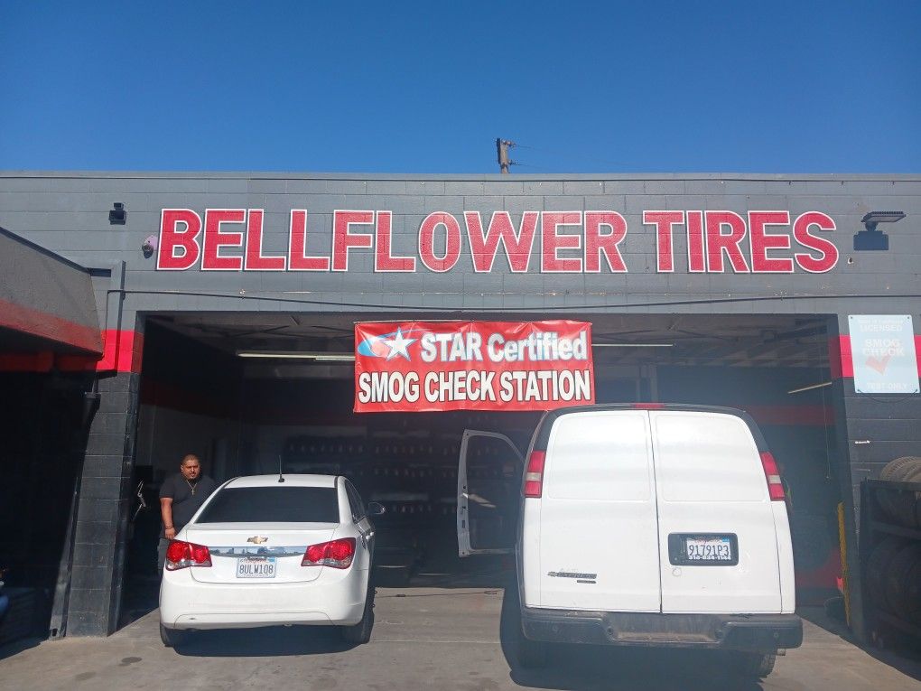 Sign Painter And Muralist