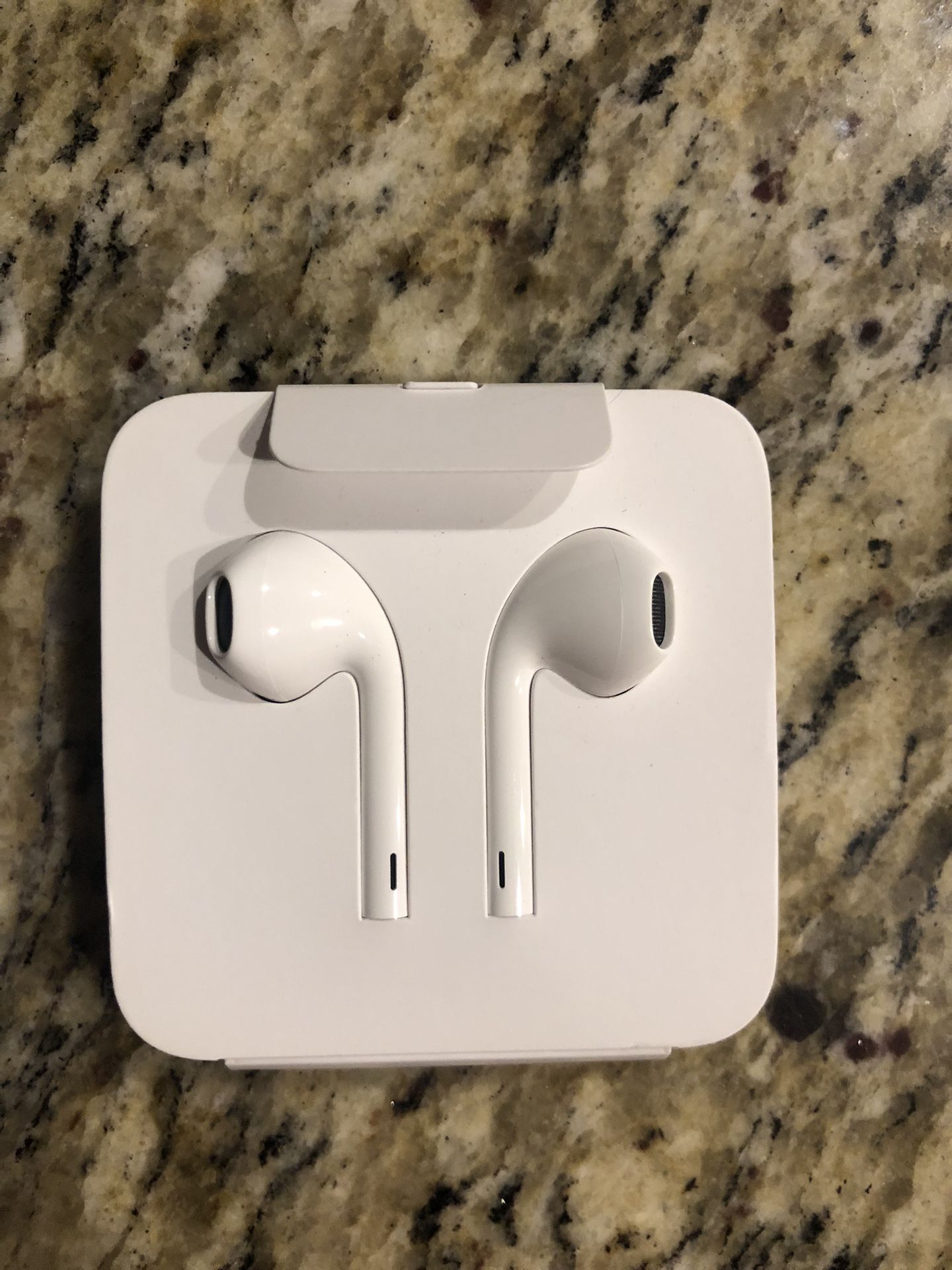 Apple Earbuds