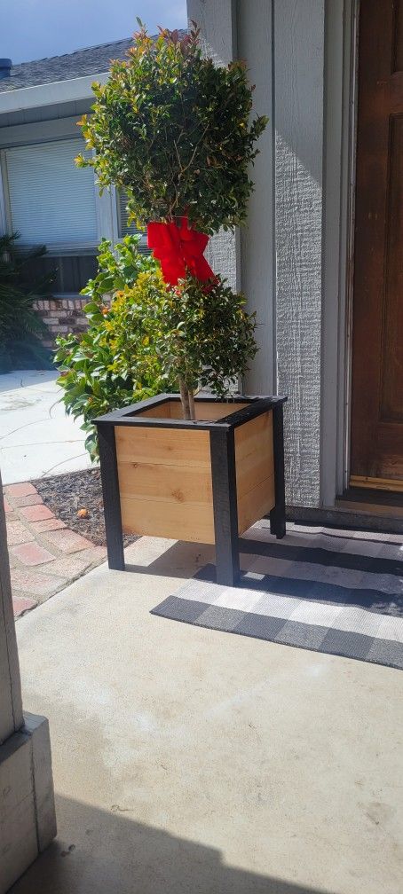 Cedar Planter Box
