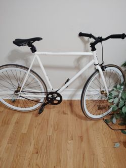 Fixie bike