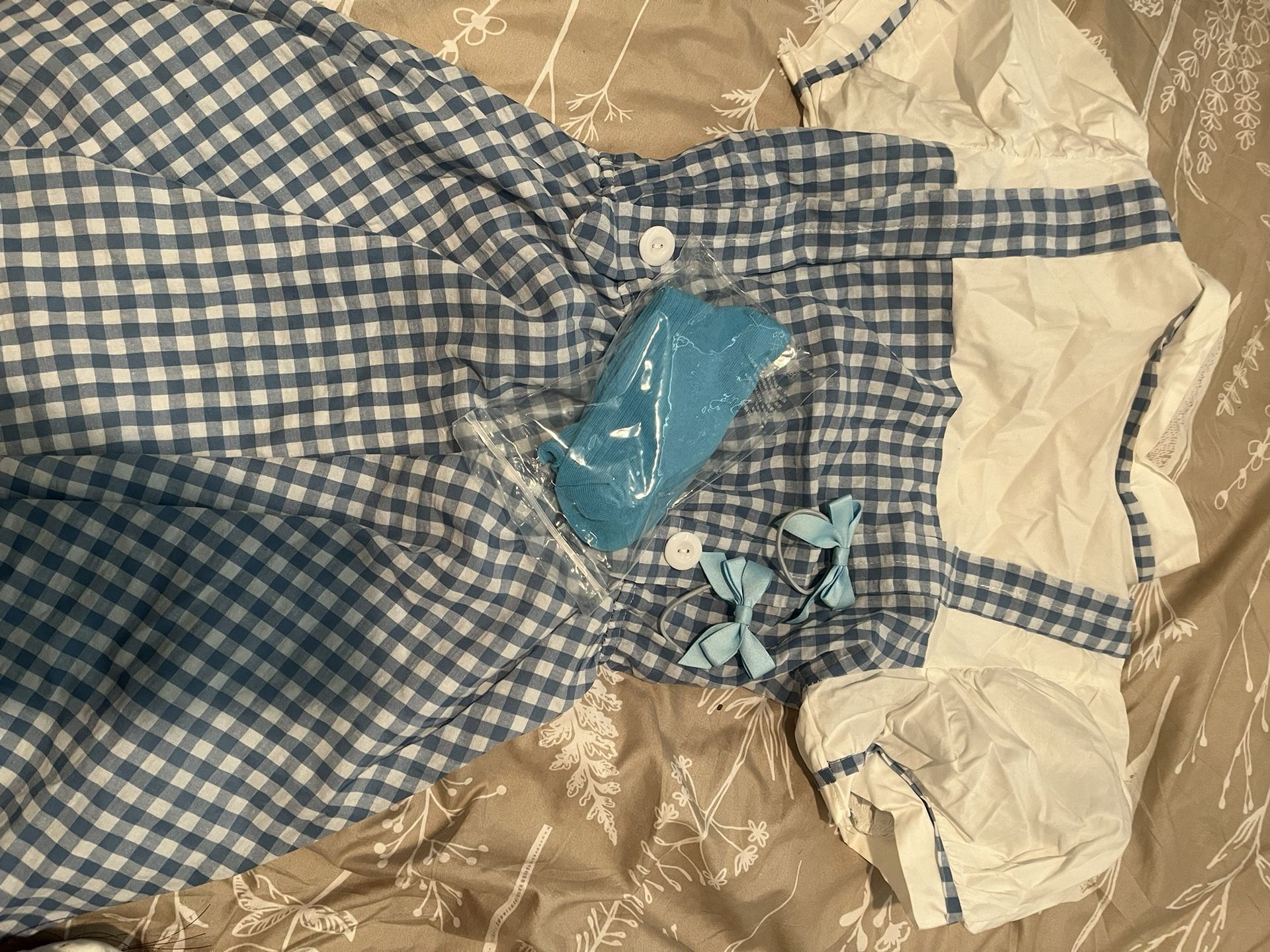 Dorothy Wizard Or Oz Costume