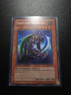 Yugioh Panther Warrior