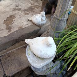 2 Palomas De Cemento Grandes