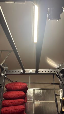 Rogue Monster lite pull up bars