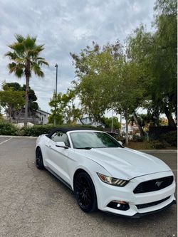 Mustang eco boost