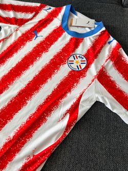 Paraguay soccer jersey