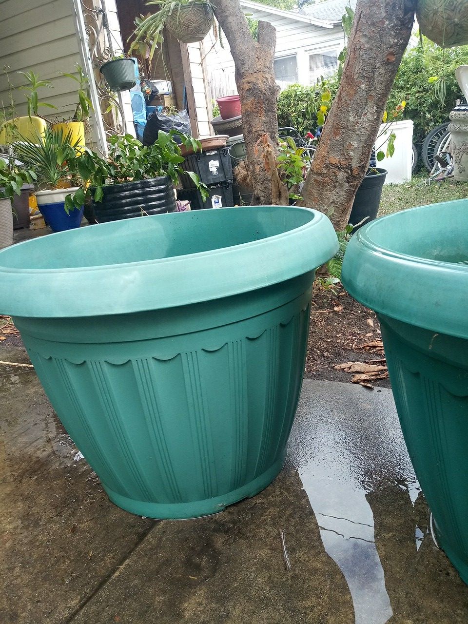 Large planters / pots